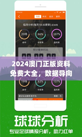 新澳门王中王100%期期中,精选解释解析与落实展望