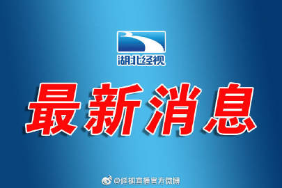 出鄂最新消息，全面解读与影响分析