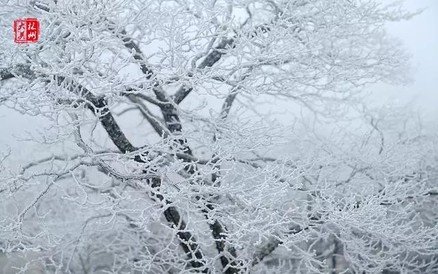 东北雪最新消息，冬日仙境的壮丽画卷与影响分析