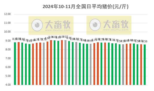 今日猪价最新行情走势，市场波动与未来展望