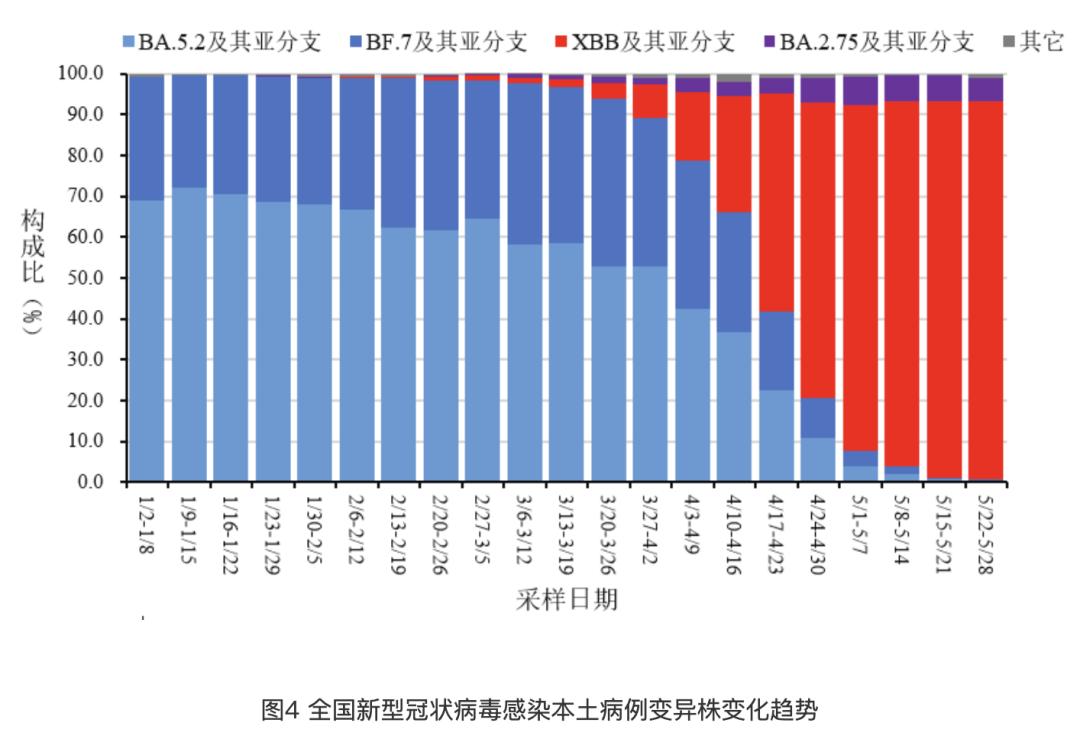 新冠病毒最新隔离时间，科学调整与全球趋势