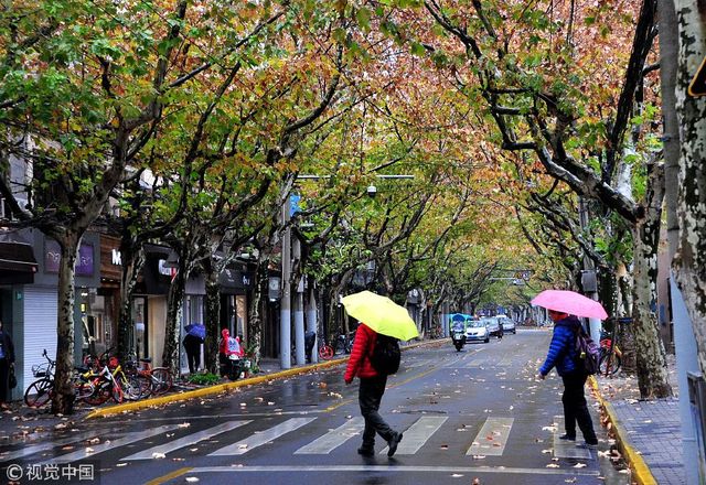 最新今天上海天气，一场秋雨一场寒，城市与自然共舞