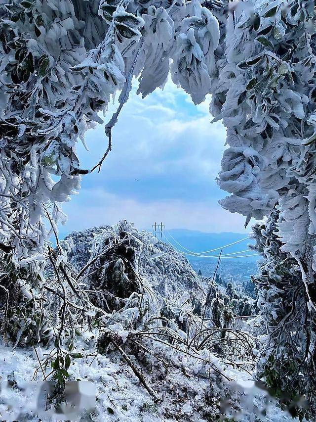 广东周边看雪最新，冬日里的冰雪奇缘