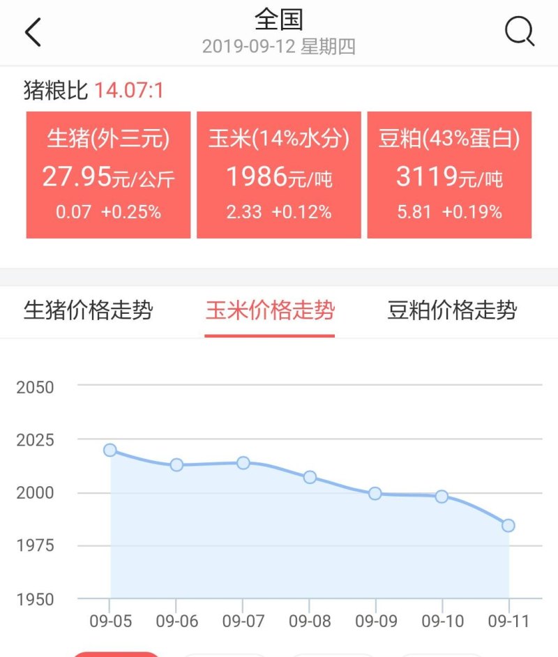 最新玉米价格动态与市场分析