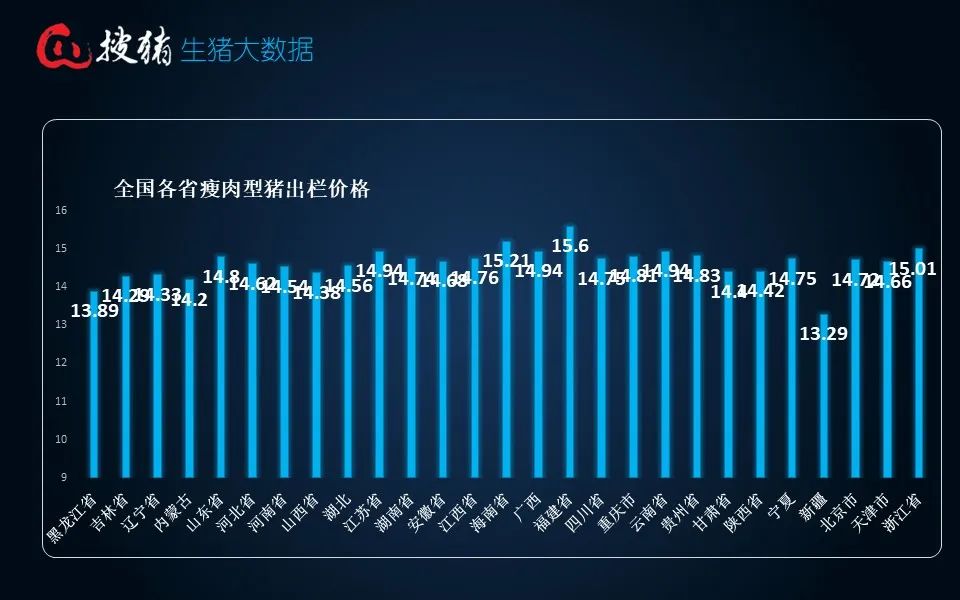 全国猪价最新11月，市场波动与趋势分析