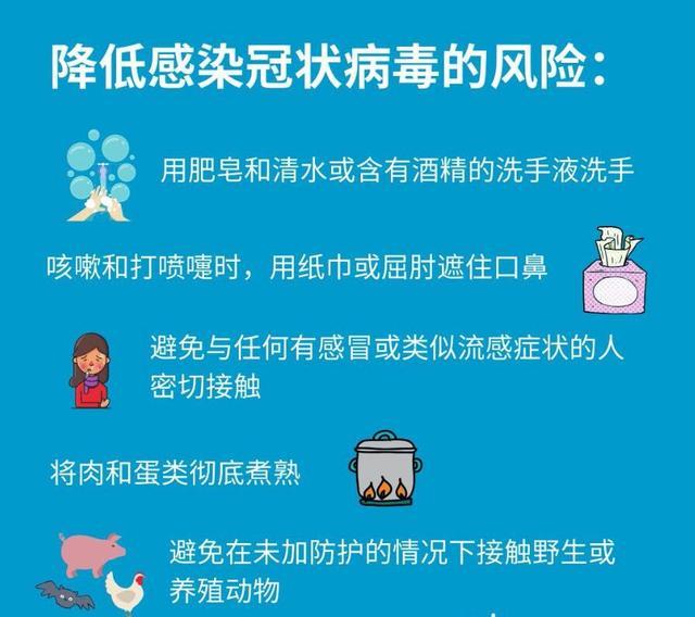 全球心冠病最新通报，疫情趋势、挑战与应对策略