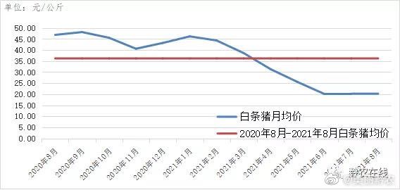 白条猪价最新行情，市场波动与未来趋势分析