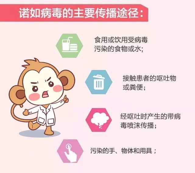 哈尔滨诺如病毒最新通报，防控措施与公众健康指南