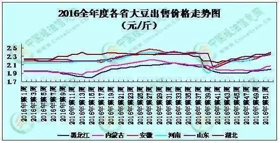 中国大豆今天最新价格，市场波动与未来展望