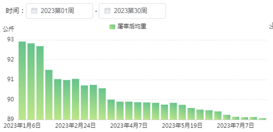 农业农村部最新猪价，市场趋势、影响因素及未来展望