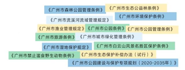 广州出境最新政策详解，全面解读与影响分析