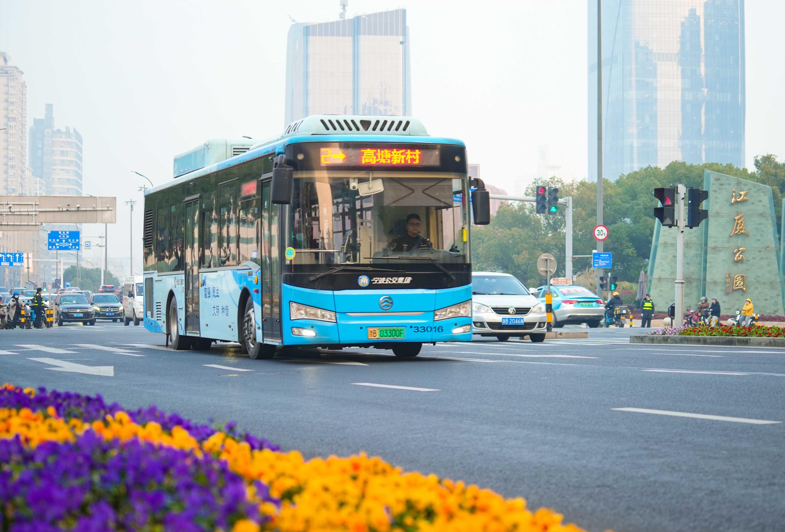 青岛最新公交线路调整，优化出行，提升城市生活质量